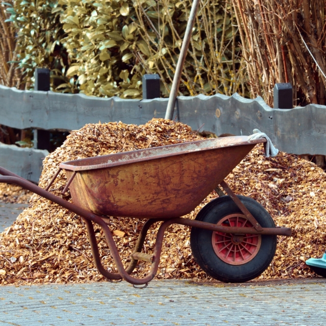 gardening-gc2cac8a55_1920