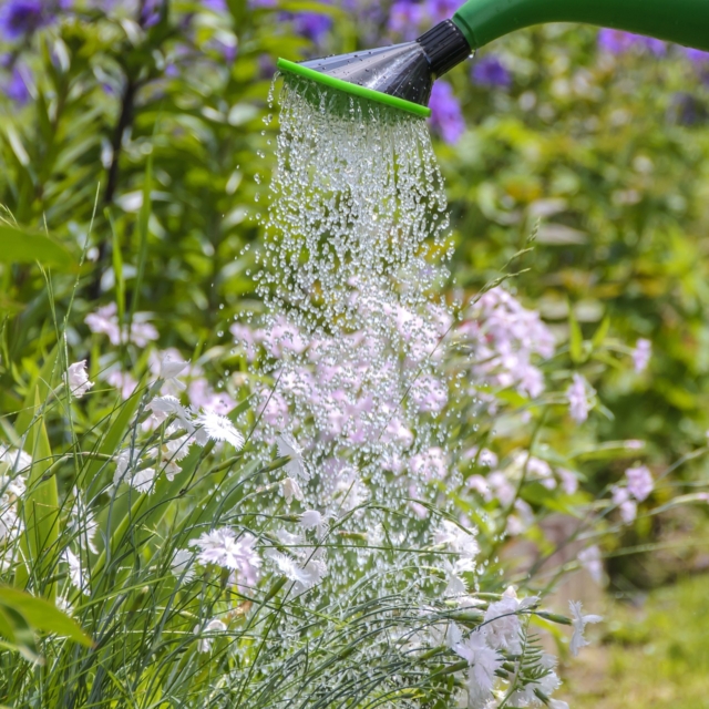 watering-g301ab91d1_1920